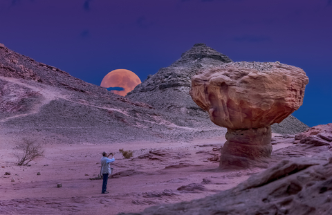 Timna Park Tour- Half-Day
